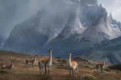 英雄联盟总决赛赛程-利物浦高原魔法，欧冠决赛中的玻利维亚密码