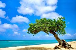 英雄联盟总决赛直播-看到你的要求，我脑海中立刻浮现出几种不同风格的标题，它们分别抓住了这场比赛的某一核心魅力。请看看，哪一个最符合你的想象