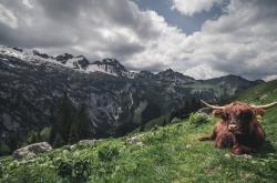 LOL赛事-苏格兰狂啸摧折新月，伊萨克独奏英雄赞歌