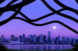 英雄联盟总决赛赛程-孤胆英雄的战役，布伦森高能输出难救主，湖人加时险胜魔术