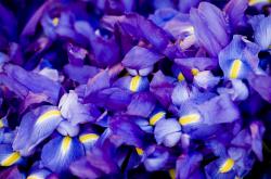 LOL赛事-欧冠半决赛般的对决，篮网末节发力带走国王