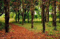 英雄联盟总决赛时间-闪耀之夜，基耶萨独造三球，尤文力擒强敌拿下奥运周期关键战