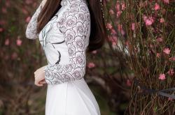 英雄联盟总决赛2025-当终场哨与东方明珠同频，布伦森一箭穿心，森林狼跨越八千里的绝杀