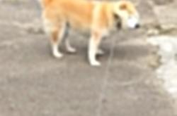 LOL决赛-接管的双重演绎，当独行侠凿穿浙江，乔治在巴林赛道踩下油门