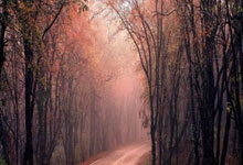 红蓝烽火:利物浦铁蹄踏破斗牛士,奥运战场暗涌三重杀机