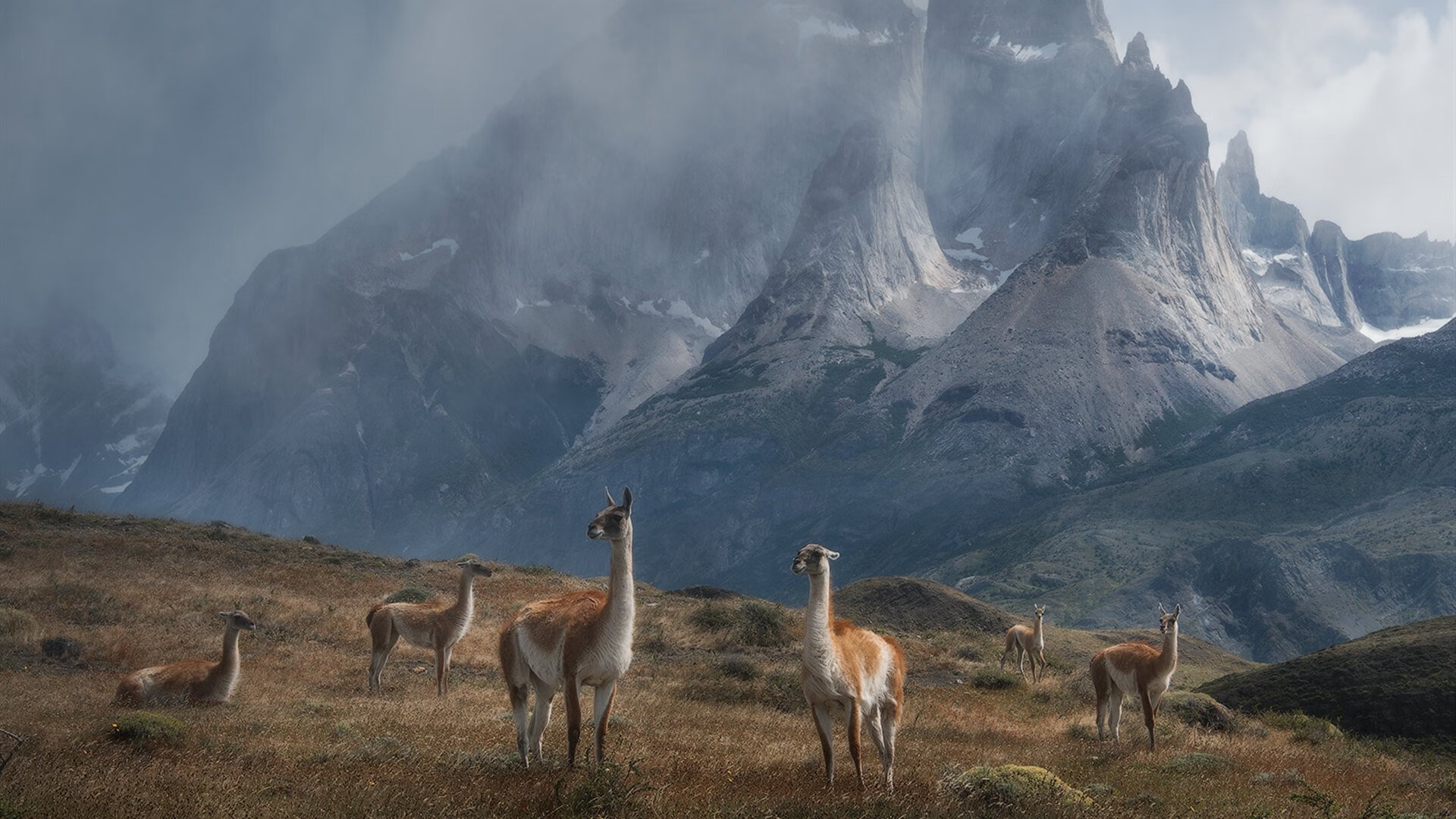 利物浦高原魔法，欧冠决赛中的玻利维亚密码