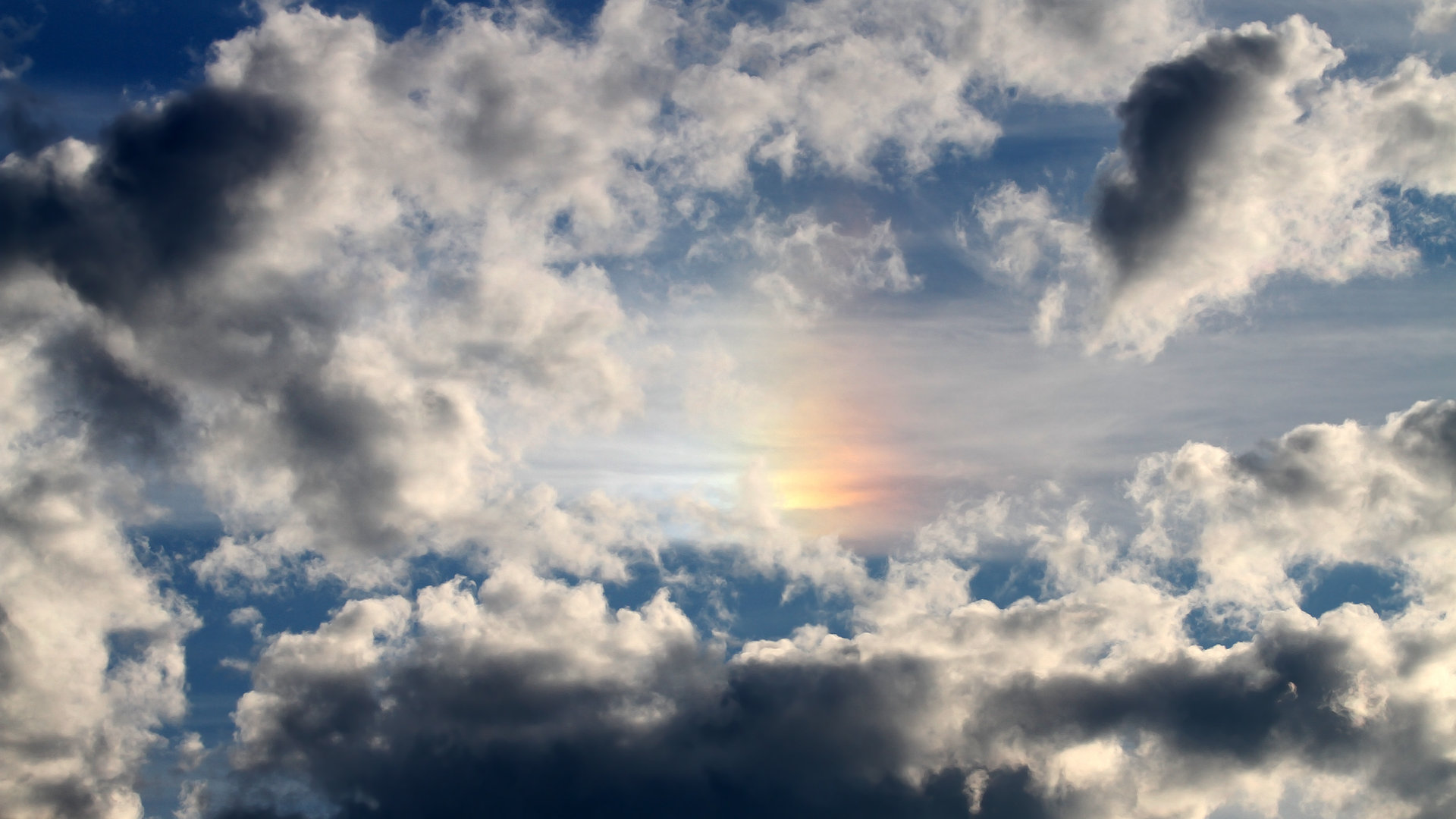 郁金香绽放沙漠，伊萨克三记绝杀撕碎卡塔尔防线