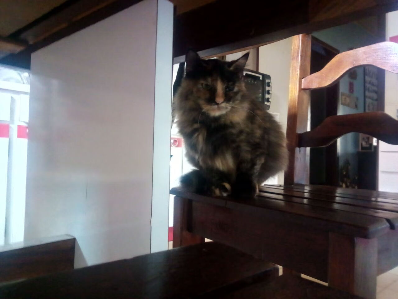 西北烽烟连奥运前哨,新疆鏖战热火炼真金