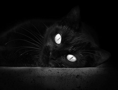 关键先生阿什拉夫，他如何在四万人的注视下，定义了意甲的夜晚