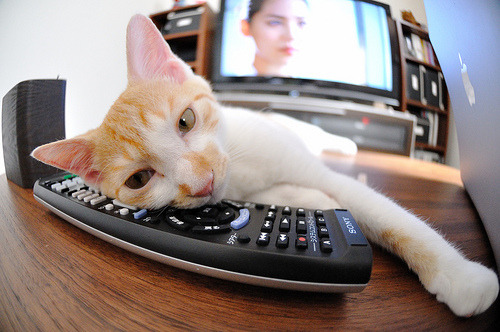 美加墨世界杯焦点战爆冷,摩纳哥横扫瑞典,黑马传奇诞生