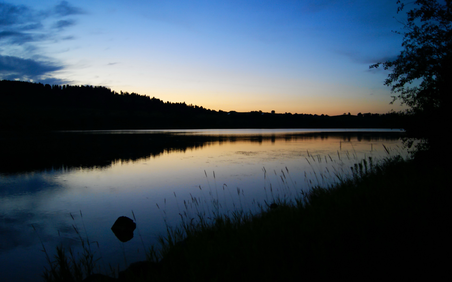 乌拉圭防线震颤之夜，托尼独舞定乾坤
