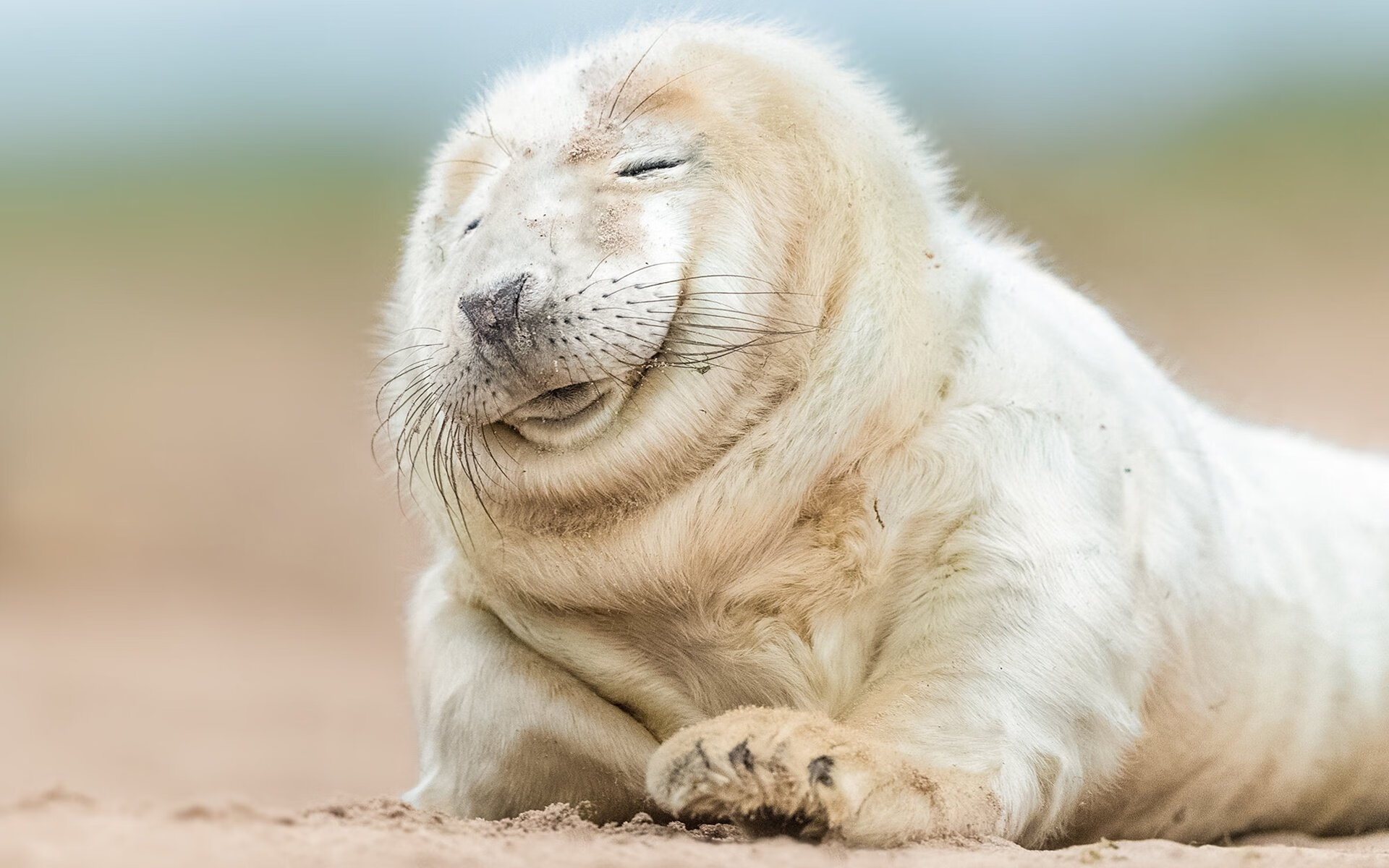 风暴之眼，努涅斯起义，奥运周期关键战引爆诺坎普哥伦比亚惨案