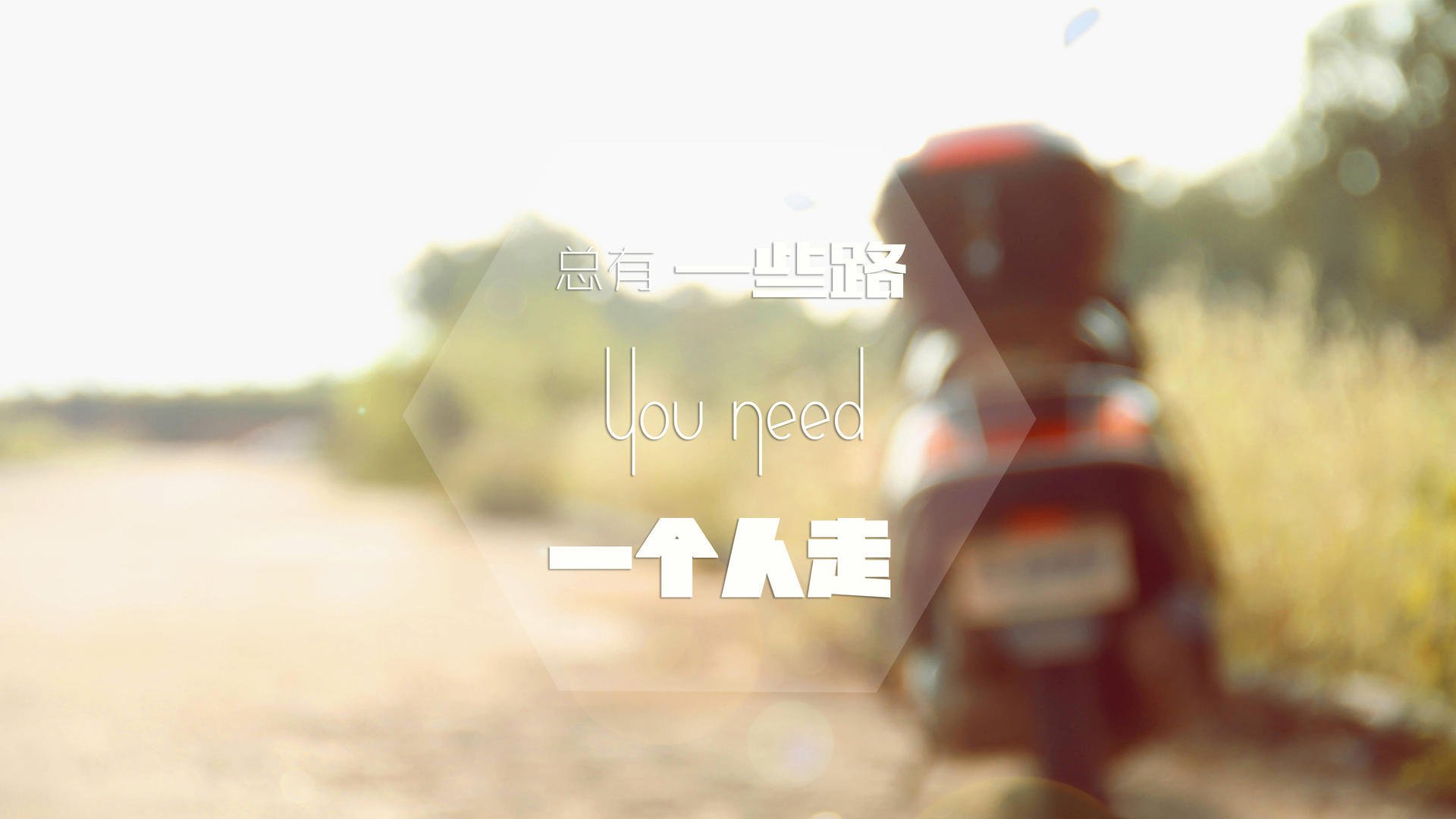 鹰击长空，天外飞仙—2026世界杯F组，乌拉圭力克伊拉克，坎塞洛用一记孤星闪耀定义唯一