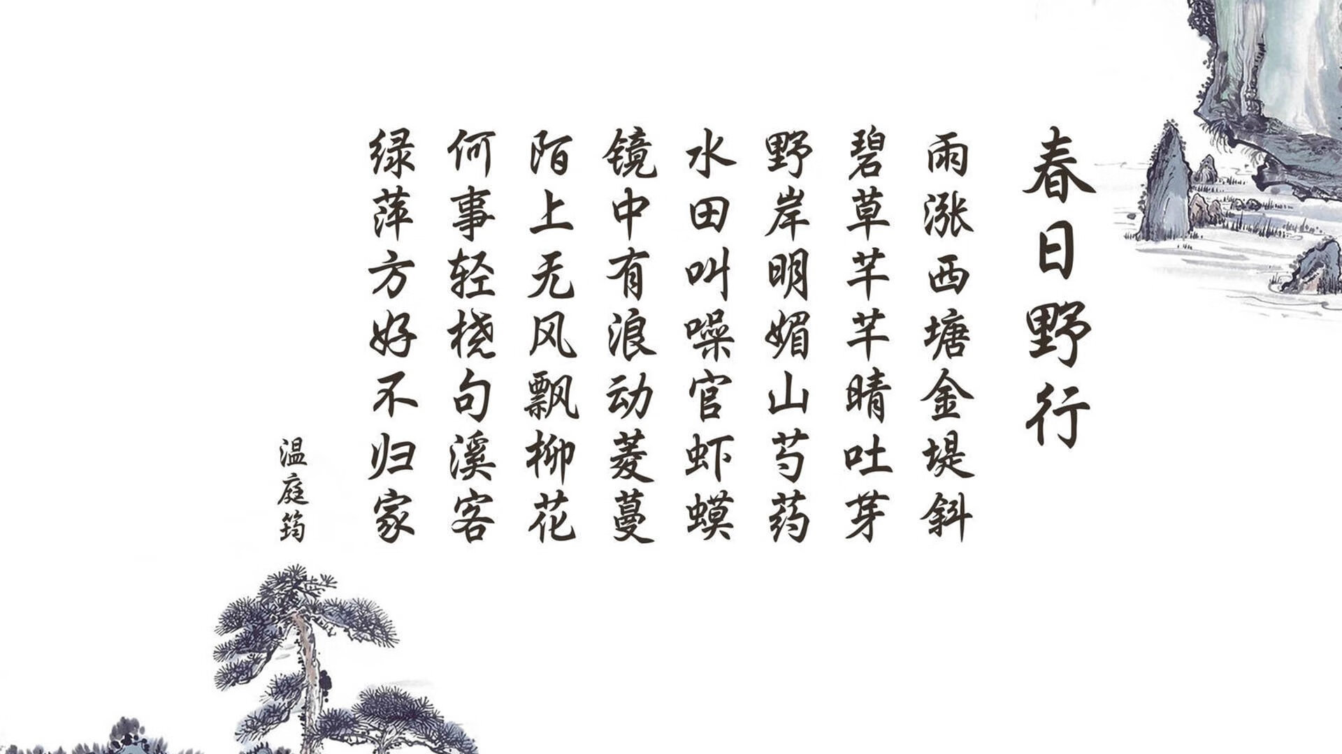 北非之狐的逆袭，2026世界杯H组，突尼斯如何以攻守转换撕碎塞尔维亚，凯恩独舞成王