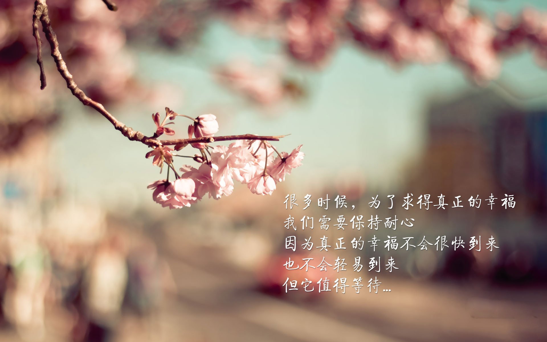 好，这是一个非常有意思的假设性命题。让我们先扩展思维，写出三个不同风格的标题，再选择其中一个进行深度创作