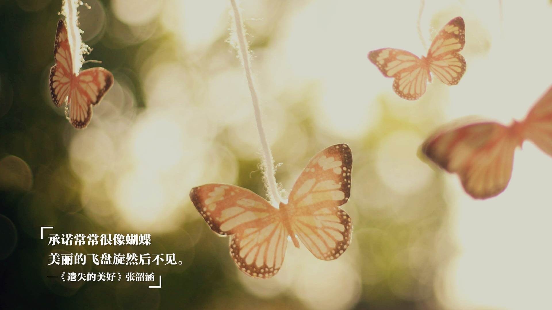 范戴克擎天立柱，卡塔尔掠过紫罗兰，2026世界杯A组首轮，一场关于唯一性的战术革命